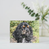 Cocker Spaniel Briefkaart (Staand voorkant)