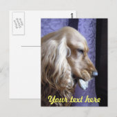 Cocker Spaniel Briefkaart (Voorkant / Achterkant)