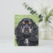 Cocker Spaniel Briefkaart (Staand voorkant)