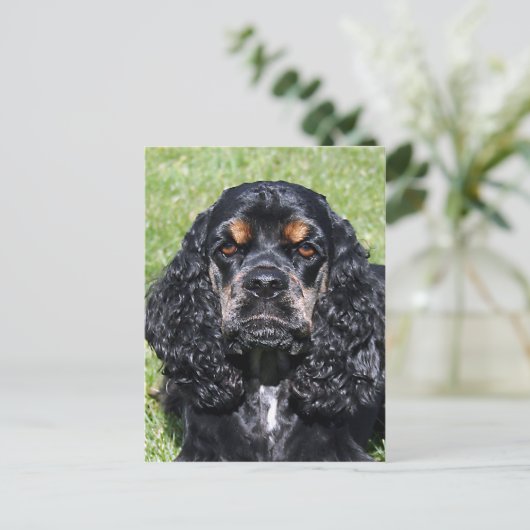 Cocker Spaniel Briefkaart (Staand voorkant)