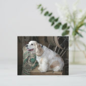 Cocker Spaniel Briefkaart (Staand voorkant)