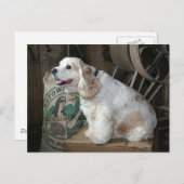 Cocker Spaniel Briefkaart (Voorkant / Achterkant)