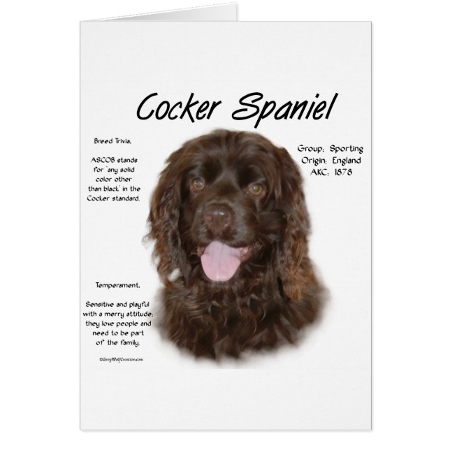 Cocker Spaniel (BRN) Geschiedenis Ontwerp (Voorkant)