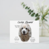 Cocker Spaniel (buff) Geschiedenis Ontwerp Briefkaart (Staand voorkant)