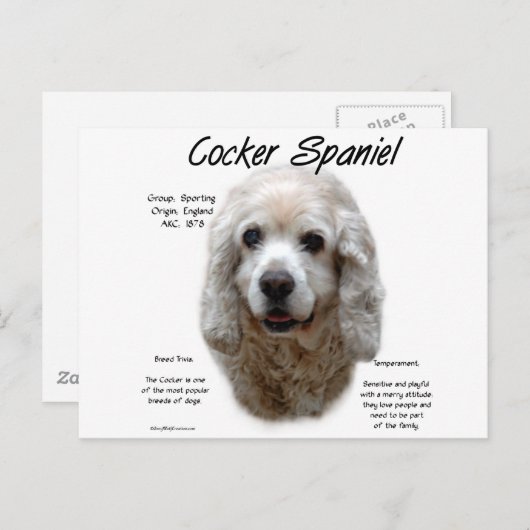 Cocker Spaniel (buff) Geschiedenis Ontwerp Briefkaart (Voorkant / Achterkant)