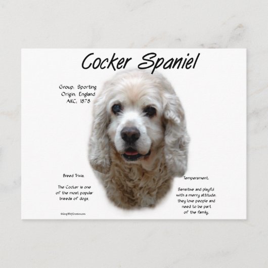 Cocker Spaniel (buff) Geschiedenis Ontwerp Briefkaart (Voorkant)