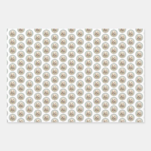 Cocker Spaniel Buff-schildering - Oorspronkelijke Inpakpapier Vel (Voorkant 2)