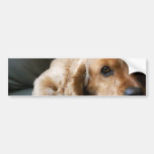 Cocker Spaniel Bumpersticker (Voorkant)