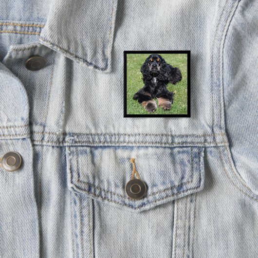 Cocker Spaniel Button (In situ)