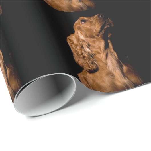 Cocker Spaniel Cadeaupapier (Rol Hoek)