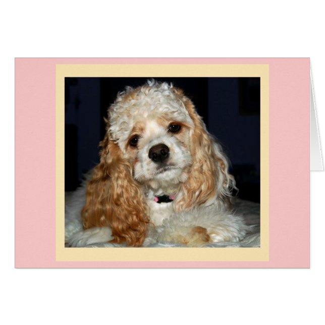 Cocker Spaniel Card (Voorkant Horizontaal)
