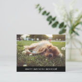 Cocker Spaniel Cavalier Birthday Briefkaart (Staand voorkant)