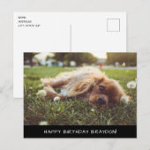 Cocker Spaniel Cavalier Birthday Briefkaart (Voorkant / Achterkant)