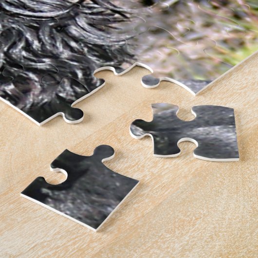 Cocker Spaniel Close-Up 2 Legpuzzel (Zijkant)