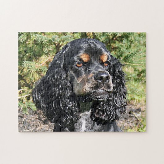 Cocker Spaniel Close-Up 2 Legpuzzel (Horizontaal)