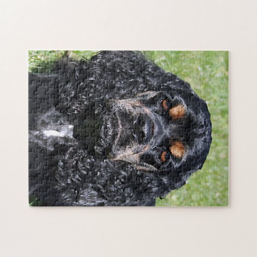 Cocker Spaniel Close-Up Legpuzzel (Horizontaal)