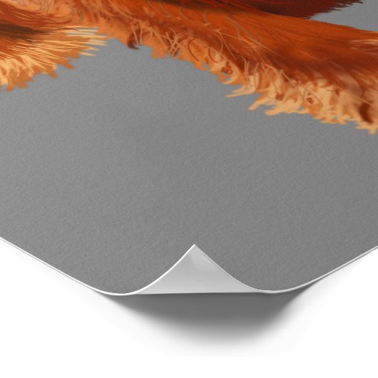 Cocker Spaniel Cowboy Poster (Hoek)