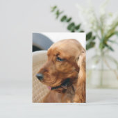 Cocker Spaniel dog Briefkaart (Staand voorkant)
