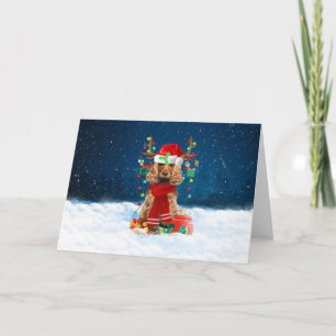 Cocker Spaniel Dog in sneeuw met kerstcadeaus Kaart
