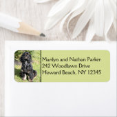 Cocker Spaniel Dog Return Address Label (Insitu)