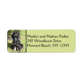 Cocker Spaniel Dog Return Address Label (Voorkant)