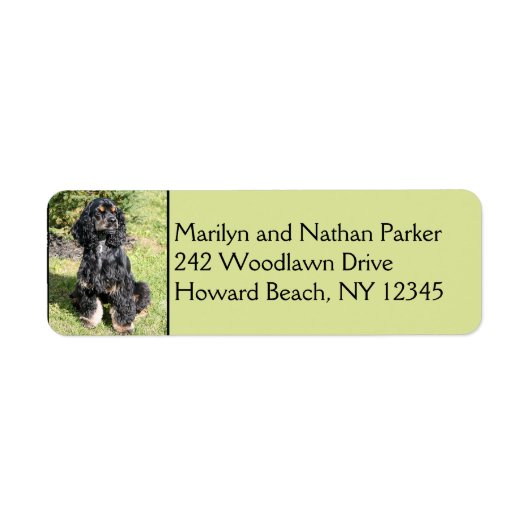 Cocker Spaniel Dog Return Address Label (Voorkant)