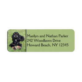 Cocker Spaniel Dog Return Address Label