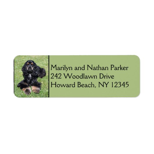 Cocker Spaniel Dog Return Address Label (Voorkant)
