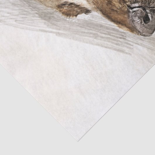 Cocker Spaniel Dog Waterverf Tissuepapier (Detail)