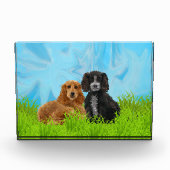 Cocker Spaniel Duo Fotoblokken (Voorkant)