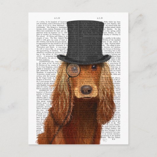 Cocker Spaniel, Formele hond en Pet Briefkaart (Voorkant)