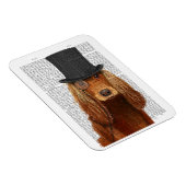 Cocker Spaniel, Formele hond en Pet Magneet (Rechterzijde)