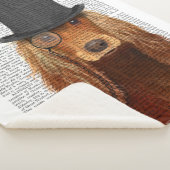 Cocker Spaniel, Formele hond en Pet Sherpa Deken (3/4)