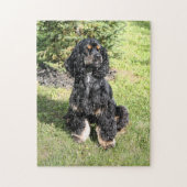 Cocker Spaniel Foto 2 Legpuzzel (Verticaal)