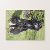 Cocker Spaniel Foto 3 Legpuzzel (Horizontaal)