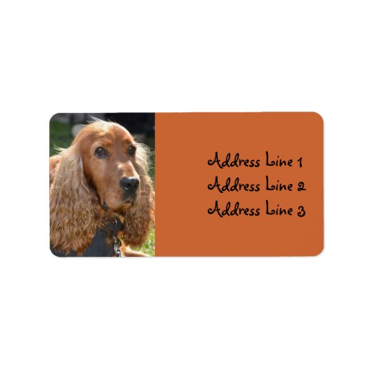Cocker Spaniel Foto Adreslabel Etiket (Voorkant)