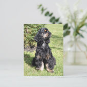 Cocker Spaniel Foto Briefkaart (Staand voorkant)