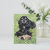 Cocker Spaniel Foto Briefkaart (Staand voorkant)