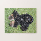 Cocker Spaniel Foto Legpuzzel (Horizontaal)