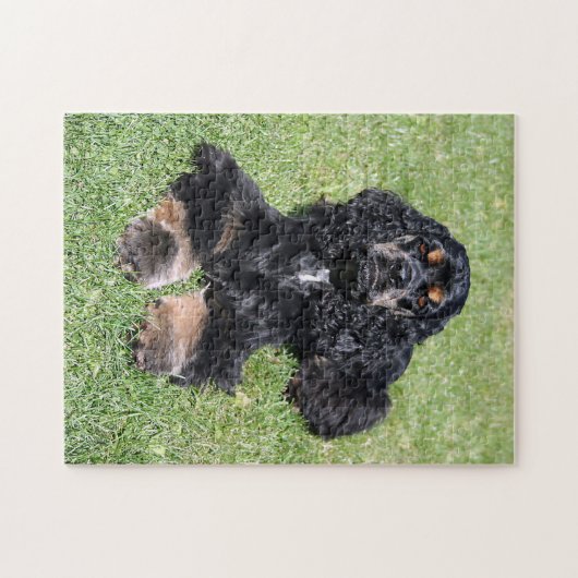 Cocker Spaniel Foto Legpuzzel (Horizontaal)
