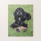 Cocker Spaniel Foto Legpuzzel (Verticaal)