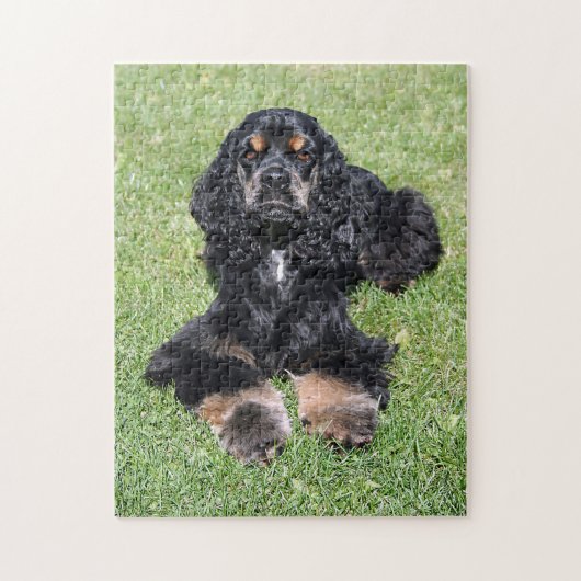 Cocker Spaniel Foto Legpuzzel (Verticaal)