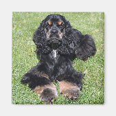 Cocker Spaniel Foto Magneet (Voorkant)