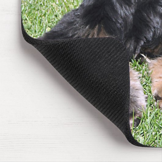 Cocker Spaniel Foto Muismat (Hoek)