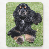 Cocker Spaniel Foto Muismat (Voorkant)