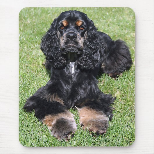 Cocker Spaniel Foto Muismat (Voorkant)