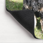 Cocker Spaniel Foto Muismat (Hoek)