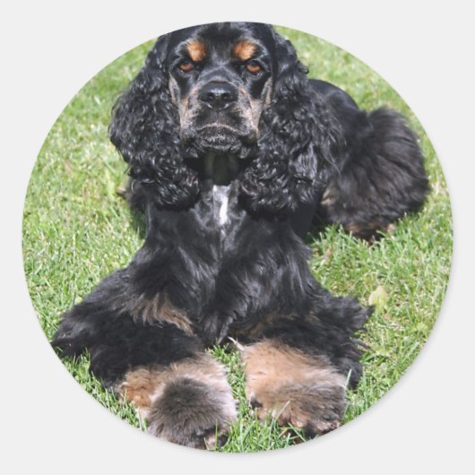 Cocker Spaniel Foto Ronde Sticker (Voorkant)
