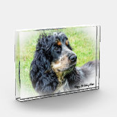 Cocker Spaniel. Fotoblokken (Links)