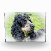 Cocker Spaniel. Fotoblokken (Voorkant)